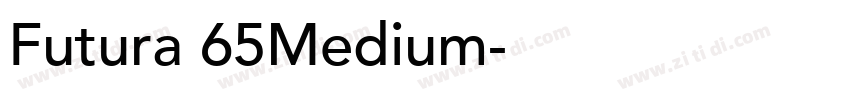 Futura 65Medium字体转换